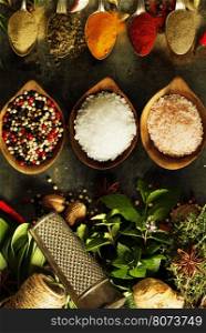 Herbs and spices selection on rustic background - cooking, gardening or vegetarian concept