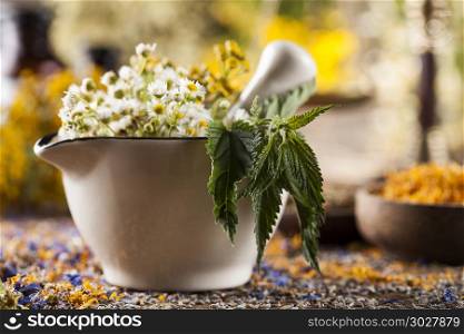 Herbs, berries and flowers with mortar, on wooden table backgrou. Herbs medicine,Natural remedy and mortar on vintage wooden desk background