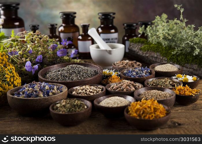 Herbs, berries and flowers with mortar, on wooden table backgrou. Natural medicine on wooden table background