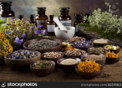 Herbs, berries and flowers with mortar, on wooden table backgrou. Natural medicine on wooden table background