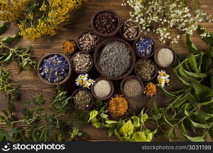 Herbs medicine and vintage wooden desk background. Herbal medicine on wooden desk background