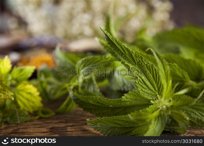 Herbs medicine and vintage wooden desk background. Herbal medicine on wooden desk background