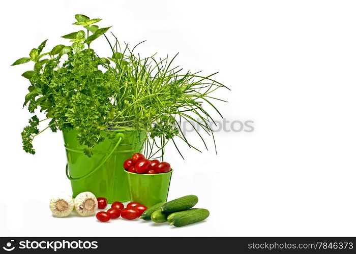 Herbs, tomatoes,cucumber and garlic in green baskets