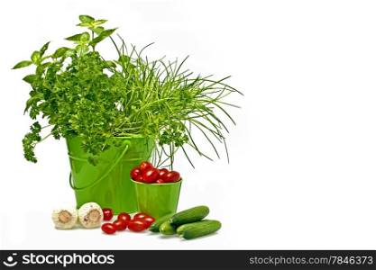Herbs, tomatoes,cucumber and garlic in green baskets