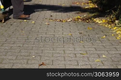 Herbst - ein Mann fegt Laub vom Burgersteig