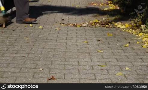 Herbst - ein Mann fegt Laub vom Burgersteig