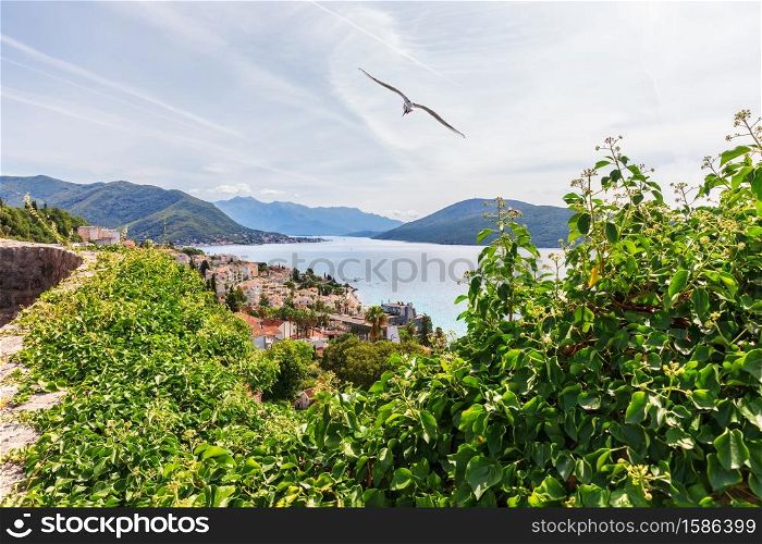 Herceg Novi aerial coast view, Montenegro .. Beautiful Herceg Novi aerial coast view, Montenegro