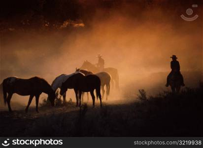 Herd of Horses and Cowboys