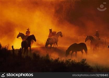 Herd of Horses and Cowboys