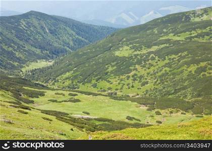 Herd of sheep on green summer mountain pasture (Carpathian Mountains, Ukraine)