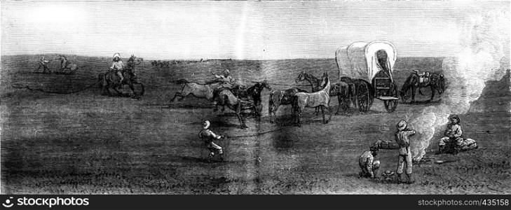 Herds in the distance. The entourage, vintage engraved illustration. Journal des Voyages, Travel Journal, (1879-80).