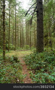 Here a trail leads off from the campround