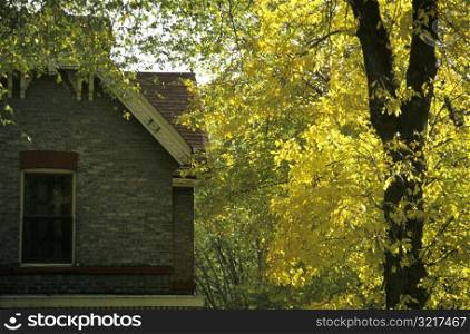 Heritage House with Autumn Leaves on Trees