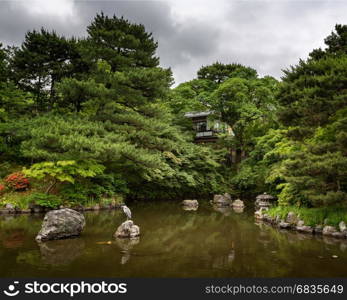 Heron sitting on the rock in the Pond, Maruyama Park, Kyoto, Japan