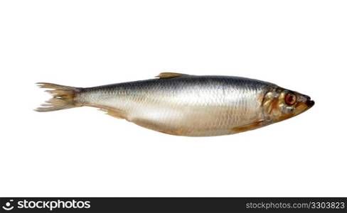 herring on white