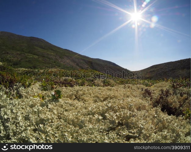 Hibiny mountain