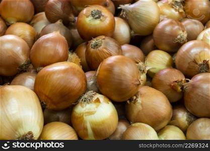 high angle arrangement with onions