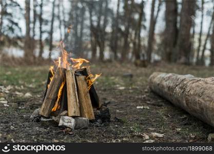 high angle bonfire forest. Resolution and high quality beautiful photo. high angle bonfire forest. High quality beautiful photo concept