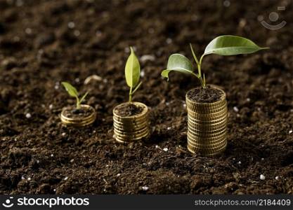 high angle coins stacked dirt with plants