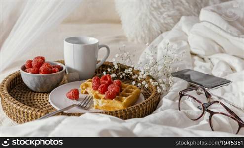 high angle delicious raspberry waffle plate. High resolution photo. high angle delicious raspberry waffle plate. High quality photo