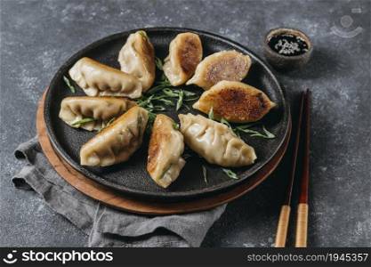high angle japanese dumplings assortment. High resolution photo. high angle japanese dumplings assortment. High quality photo
