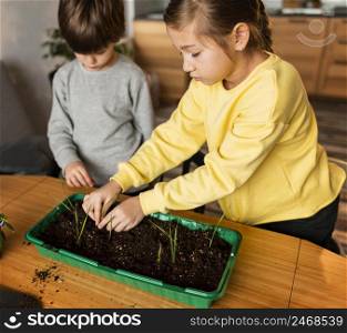 high angle kids planting sprouts home