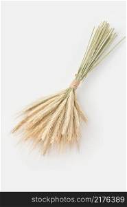 High angle of fresh ecologically grown wheat spikelets tied together and placed on white background. Golden ears of organic wheat