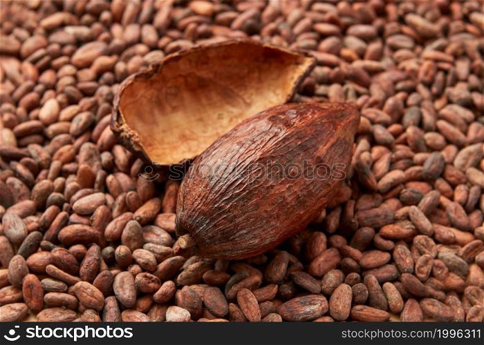High angle of halved shell and whole pod of Theobroma cacao tree on unpeeled organic cocoa beans. Whole pod of cocoa tree