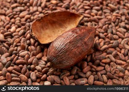 High angle of halved shell and whole pod of Theobroma cacao tree on unpeeled organic cocoa beans. Whole pod of cocoa tree