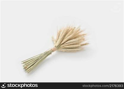 High angle of minimalist bouquet made of organic fry spikelets of wheat and placed on white background. Bunch of wheat golden ears