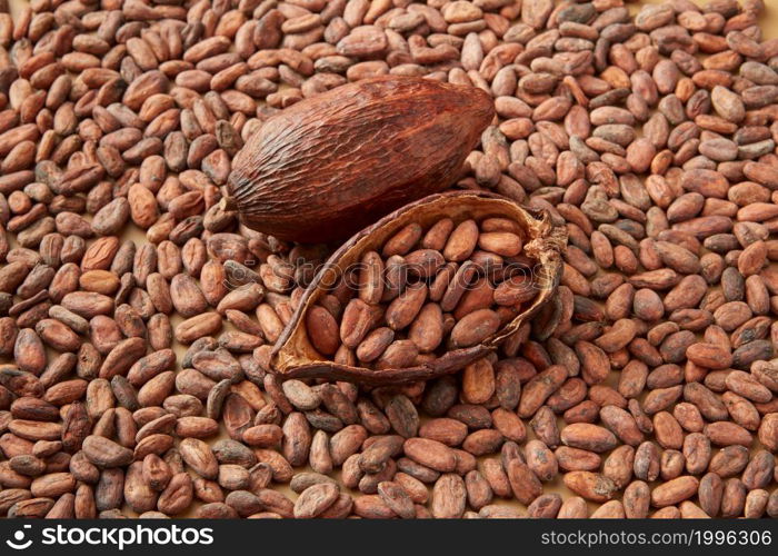 High angle of whole and halved cocoa pod filled with pure raw cooca beans. Organic beans of cocoa in pod