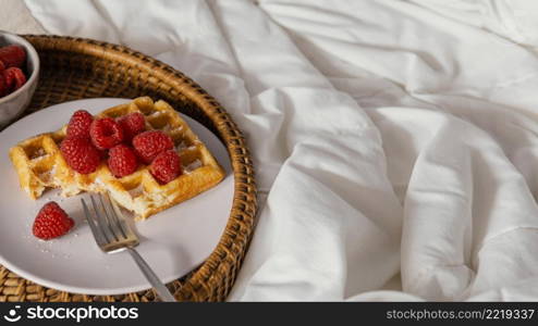 high angle raspberry waffle plate