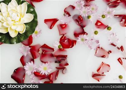 high angle view flower petals lotus floating milk