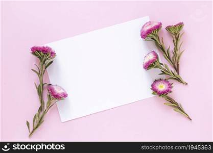 high angle view flowers blank paper sheet pink backdrop. High resolution photo. high angle view flowers blank paper sheet pink backdrop. High quality photo