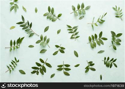 high angle view fresh leaves branches light green backdrop. High resolution photo. high angle view fresh leaves branches light green backdrop. High quality photo