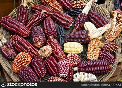 High angle view of a basket of colored corns in a market stall, Pisaq, Cuzco, Peru