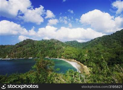 High angle view of a beach surrounded by hills, Caribbean