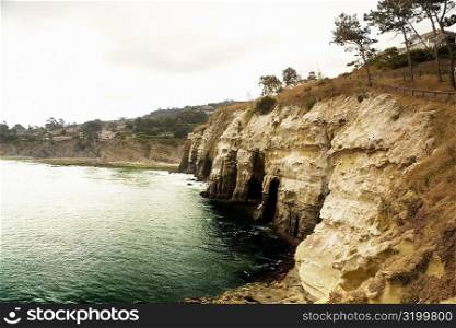 High angle view of a cliff, La Jolla Reefs, San Diego Bay, California, USA