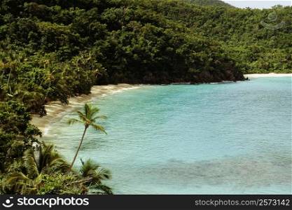 High angle view of a coast, St. John, U.S. Virgin Islands