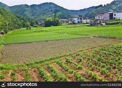 High angle view of a cultivated field, Xidi, Anhui Province, China