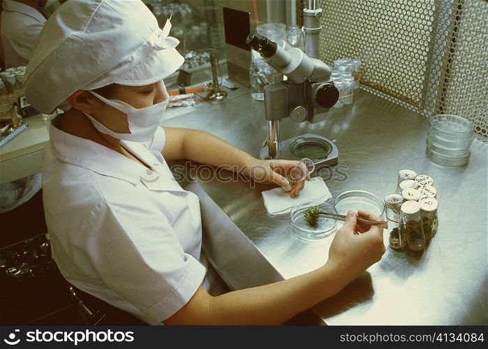 High angle view of a female scientist in a laboratory, Tochigi prefecture, Honshu, Japan