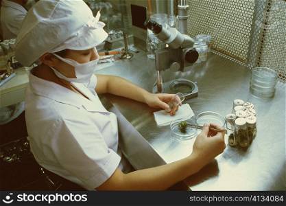 High angle view of a female scientist in a laboratory, Tochigi prefecture, Honshu, Japan