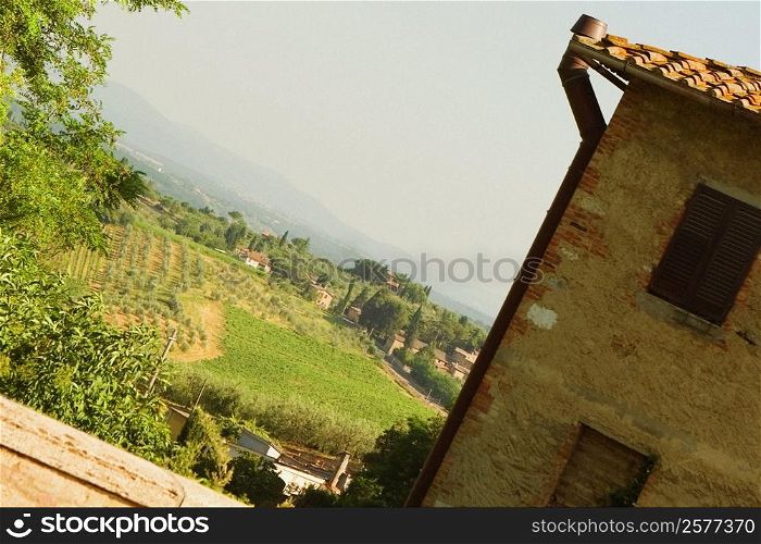 High angle view of a field, Siena Province, Tuscany, Italy