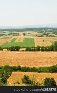 High angle view of a field, Siena Province, Tuscany, Italy