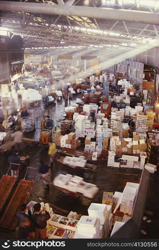 High angle view of a fish market, Tsukiji Fish Market, Tsukiji, Tokyo Prefecture, Japan