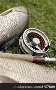 High angle view of a fishing reel and a fishing rod lying beside two fish