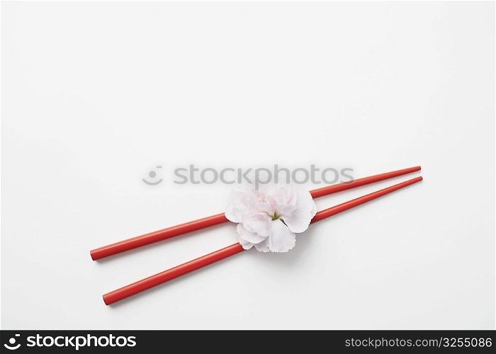 High angle view of a flower with a pair of chopsticks