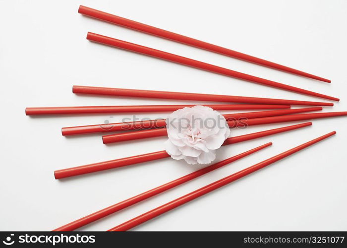 High angle view of a flower with chopsticks