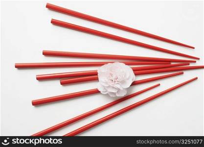 High angle view of a flower with chopsticks