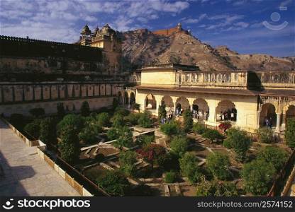 High angle view of a garden in a palace, Amber Fort, Jaipur, Rajasthan, India